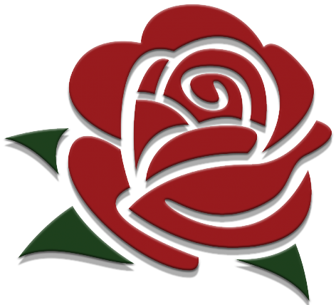 Саджанці троянд