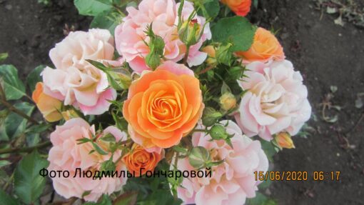 Бордюр каме