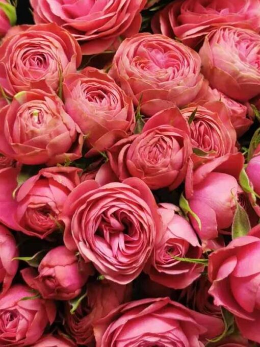 гранд трендсеттер