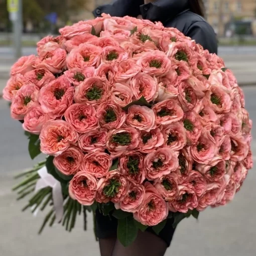 мандар.экспрешн