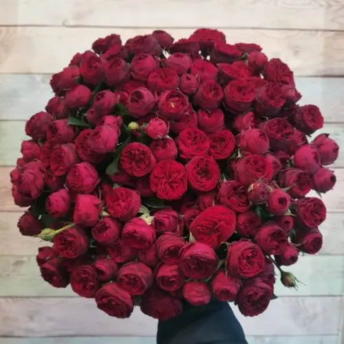 марун спрей