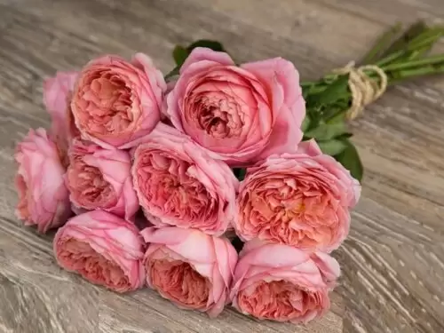 романтик антик