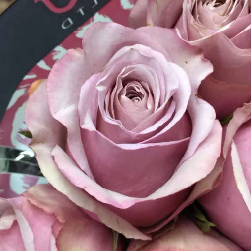 сильвер плейт